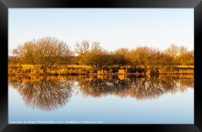 Landscape of golden trees and shrubs in winter reflecting on a river, Framed Print by SnapT Photography