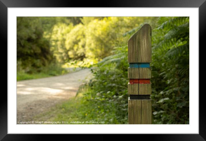 Close up of a three colour trail sign post on a forest trail in the Loch Lomond and Trossachs National Park, Scotland Framed Mounted Print by SnapT Photography