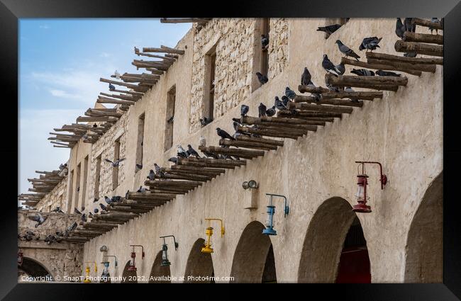 Pigeons sitting on bamboo poles on the wall of a qatari building in Souq Waqif Framed Print by SnapT Photography