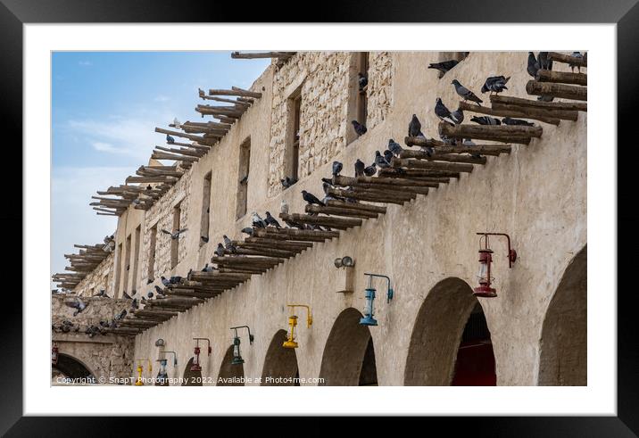 Pigeons sitting on bamboo poles on the wall of a qatari building in Souq Waqif Framed Mounted Print by SnapT Photography