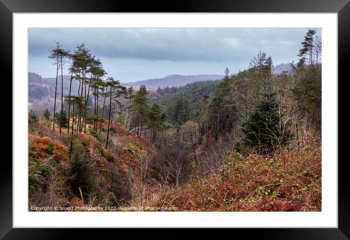 Glen of the Bar viewpoint in Autumn beside The Queen's Way, Galloway Forest Framed Mounted Print by SnapT Photography