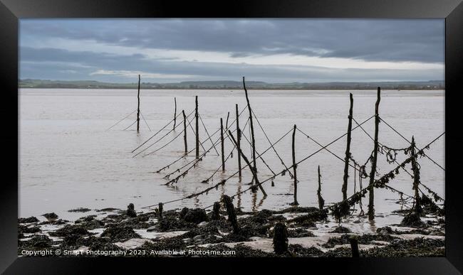 Salmon stake nets at low tide on the River Cree estuary at Carsluith, Scotland Framed Print by SnapT Photography