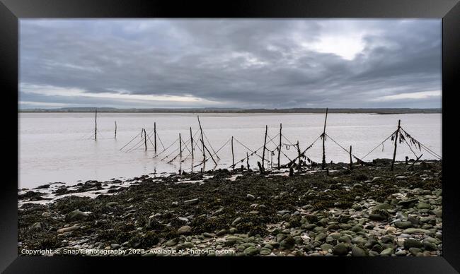 Salmon stake nets at low tide on the River Cree estuary at Carsluith, Scotland Framed Print by SnapT Photography