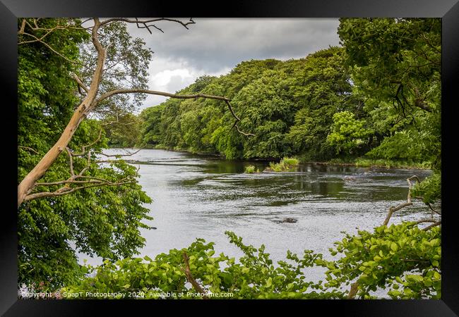 A view of a river through a gap in trees in summer Framed Print by SnapT Photography