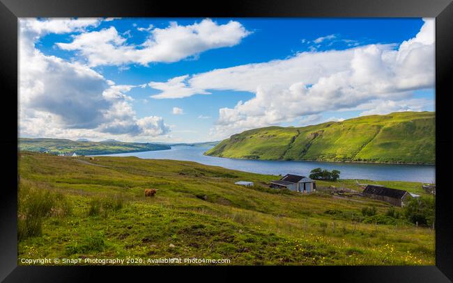 A view across Loch Harport on the Isle of Skye, with a Highland cow grazing Framed Print by SnapT Photography