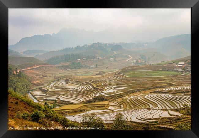 A view over a Vietnamese landscape of rice terraces in winter, Sapa, Vietnam Framed Print by SnapT Photography