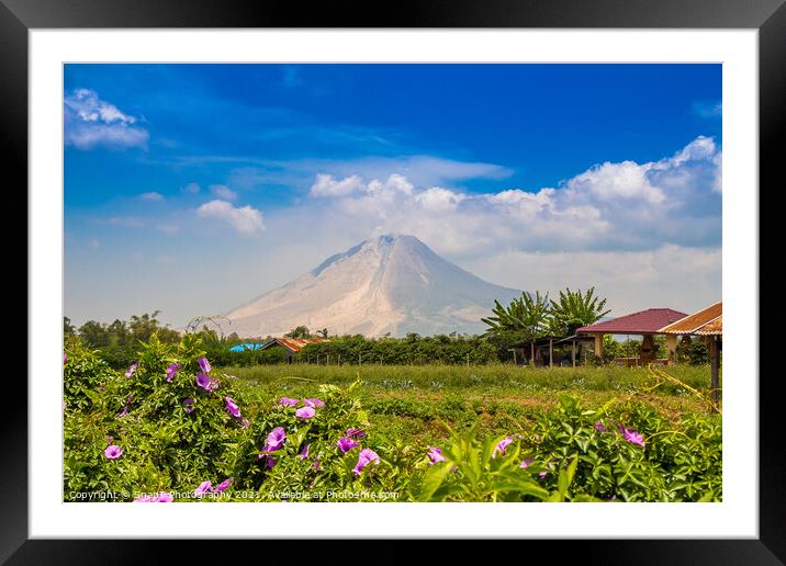 A view of Mount Sinabung over agricultural land in North Sumatra, Indonesia Framed Mounted Print by SnapT Photography