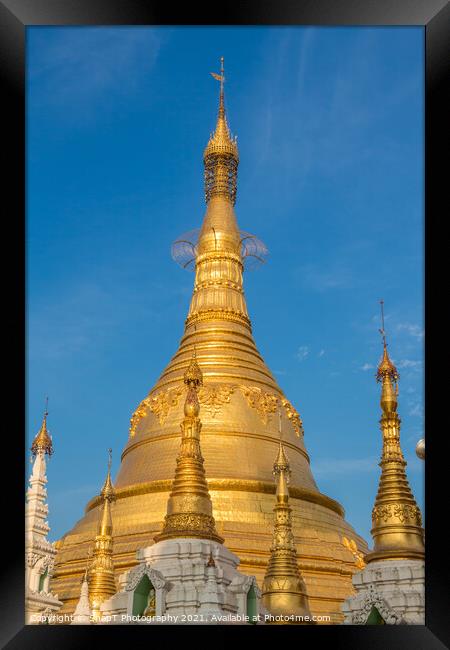 The stupa of the Shwedagon Pagoda in the evening sunlight, in Yangon, Myanmar Framed Print by SnapT Photography