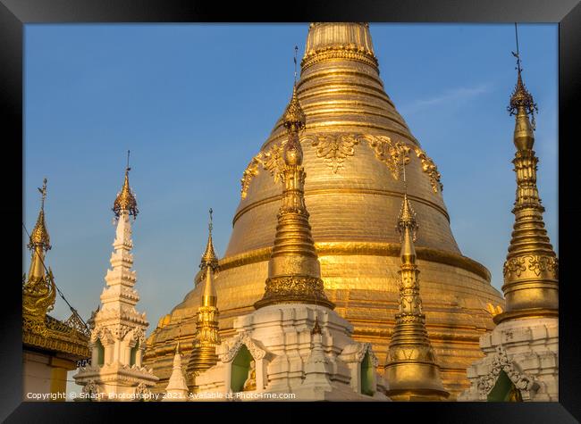 Evening light falling on the golden Shwedagon Pagoda in Yangon, Myanmar Framed Print by SnapT Photography