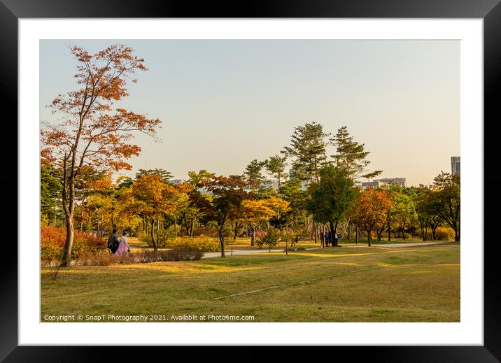 The grounds of Gyeongbokgung Palace in autumn colours in late afternoon Framed Mounted Print by SnapT Photography