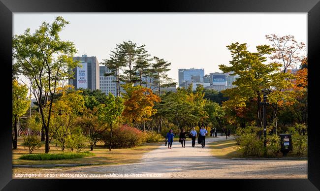 Tourists walking through the gardens of Gyeongbokgung Palace, Seoul, South Korea Framed Print by SnapT Photography