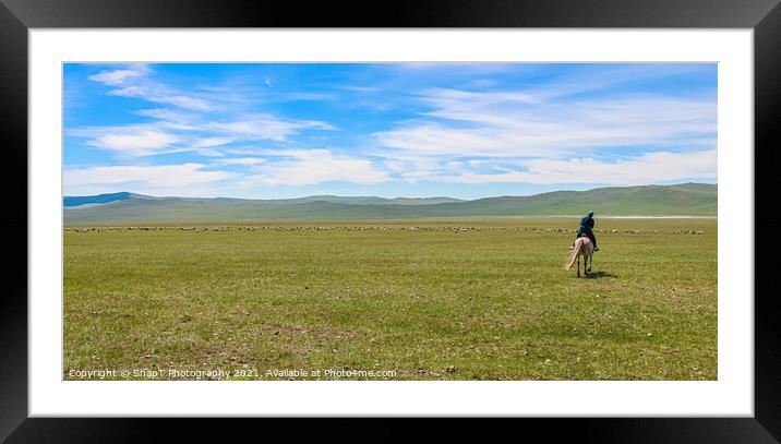 A female mongolian herder, herding cattle on the grassland by horse Framed Mounted Print by SnapT Photography
