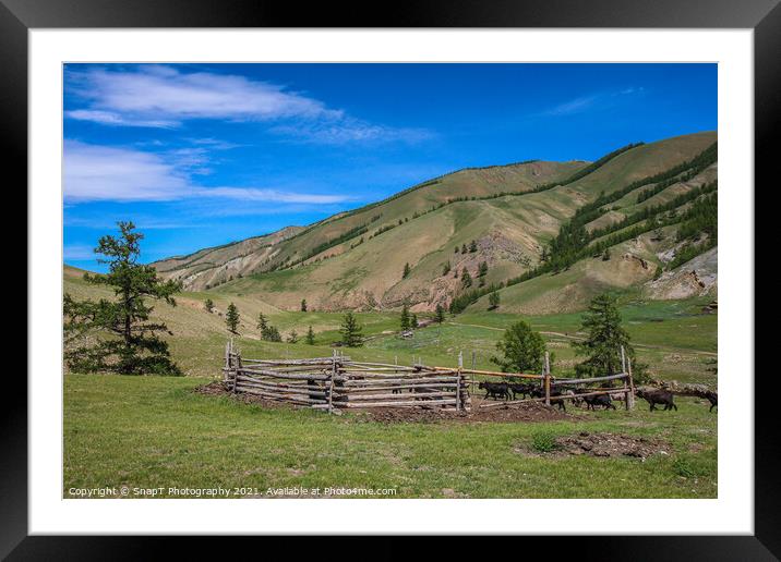 A cattle pen in the Mongolian mountains, surrounded by grassland Framed Mounted Print by SnapT Photography