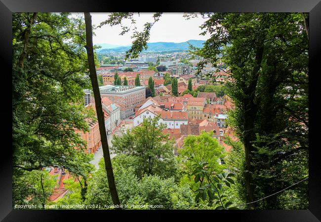 A view through the trees from the view point on Ljubljana Castle, Slovenia Framed Print by SnapT Photography