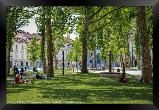 The park at Congress Square in the center of Ljubljana on a summer day, Slovenia Framed Print by SnapT Photography