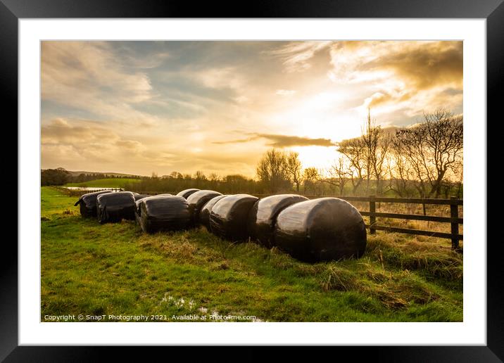 Silage bales beside a wooden fence in a green field, at sunset Framed Mounted Print by SnapT Photography