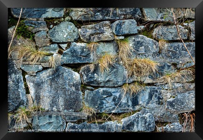 Abstract of an old Scottish drystone wall or dyke, with moss and grass growing Framed Print by SnapT Photography