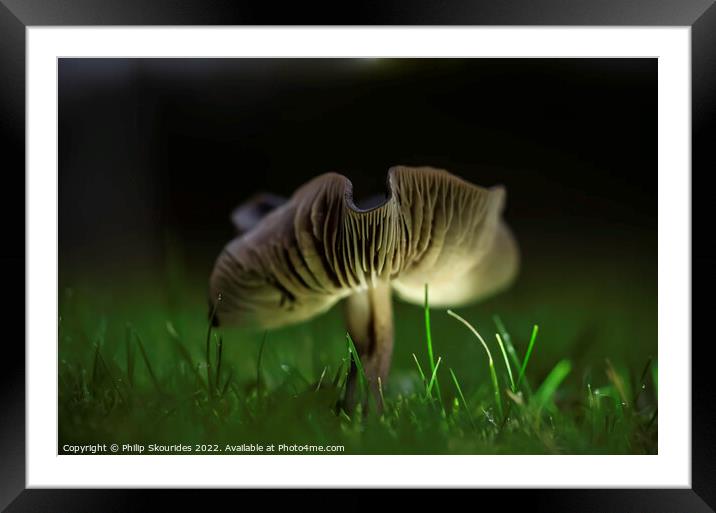 Fungi ii Framed Mounted Print by Philip Skourides