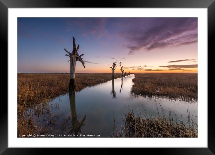 Tollesbury Trees Framed Mounted Print by James Catley