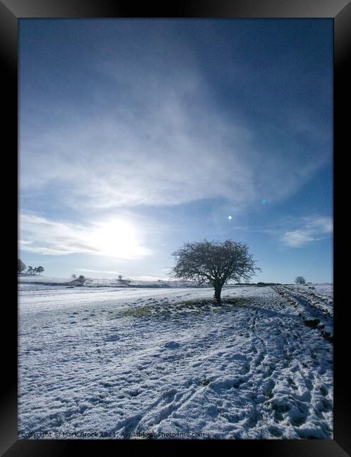 First Snow  Framed Print by Mark Brock