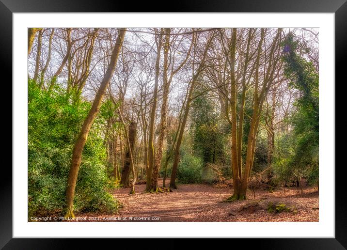 Eastham Woods Wirral Framed Mounted Print by Phil Longfoot