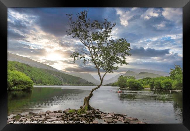 The beautiful lone tree Llanberis Wales Framed Print by Phil Longfoot