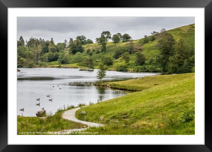 Tarn Hows South Lakes Cumbria  Framed Mounted Print by Phil Longfoot