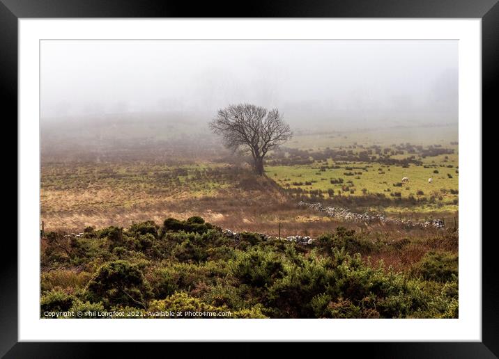 A lone tree on a Lake District moor Framed Mounted Print by Phil Longfoot