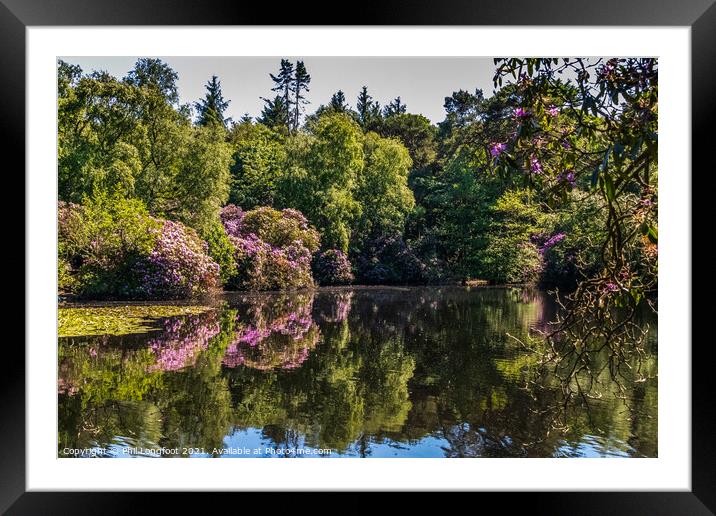Reflections in a Wirral park  Framed Mounted Print by Phil Longfoot