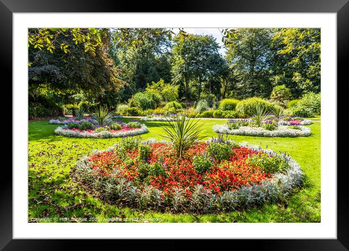 Flower beds in a Liverpool Park.  Framed Mounted Print by Phil Longfoot