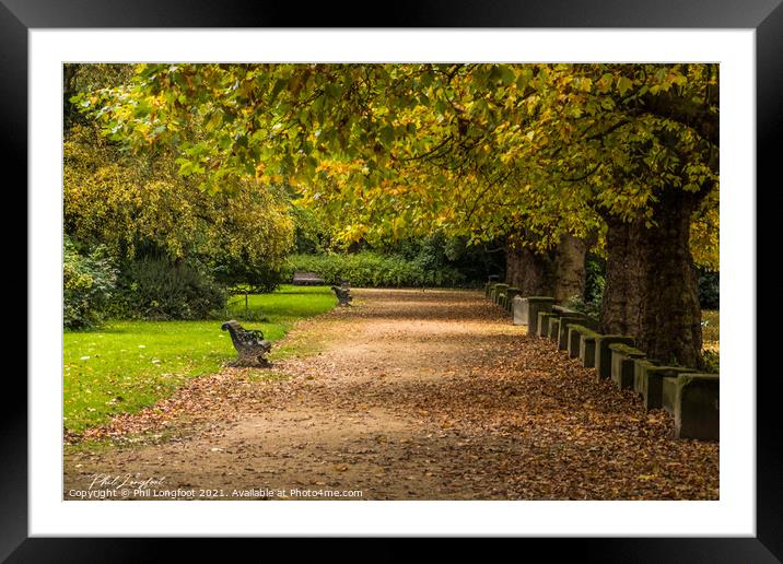 Autumnal sky of leaves Framed Mounted Print by Phil Longfoot