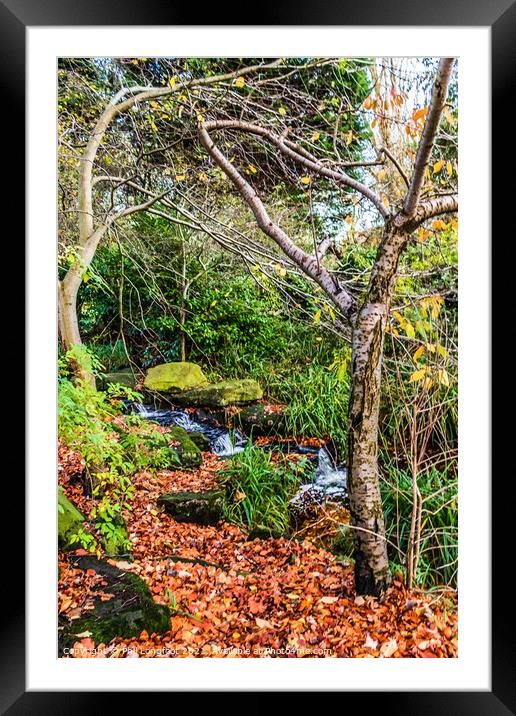 Beautiful autumnal cascade  Framed Mounted Print by Phil Longfoot