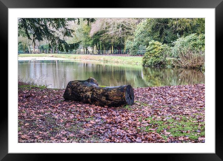 Tranquil pond Croxteth Park Liverpool  Framed Mounted Print by Phil Longfoot