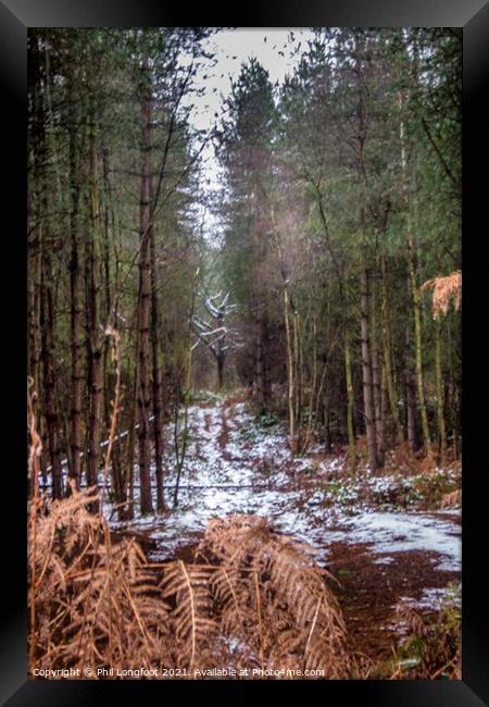 Delamere Forest Framed Print by Phil Longfoot
