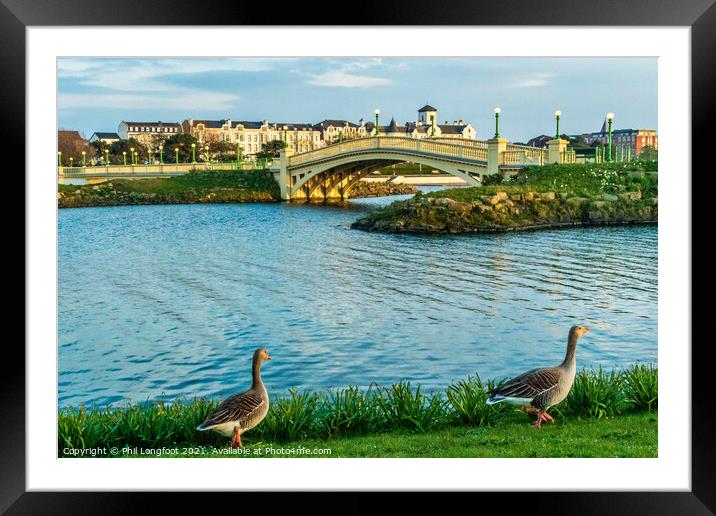 2 geese  Framed Mounted Print by Phil Longfoot