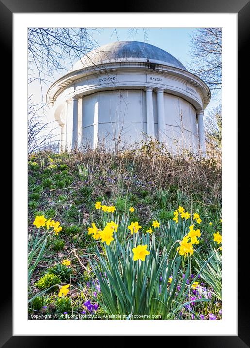Daffodils in Vale Park Wirral  Framed Mounted Print by Phil Longfoot
