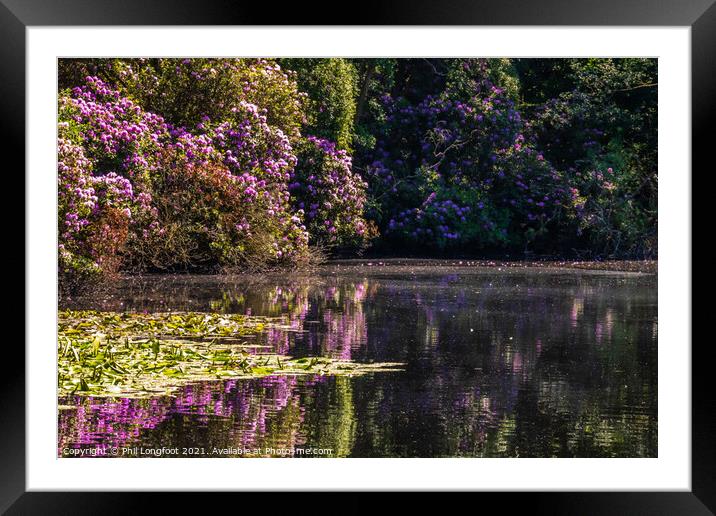 Summer colours in Royden Park Wirral England Framed Mounted Print by Phil Longfoot