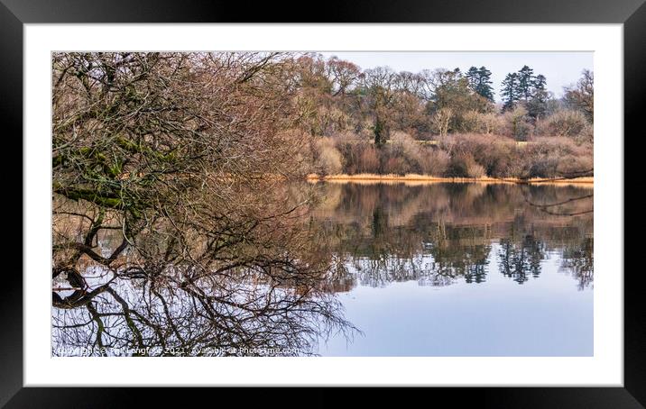 Bassenthwaite Lake reflections  Framed Mounted Print by Phil Longfoot