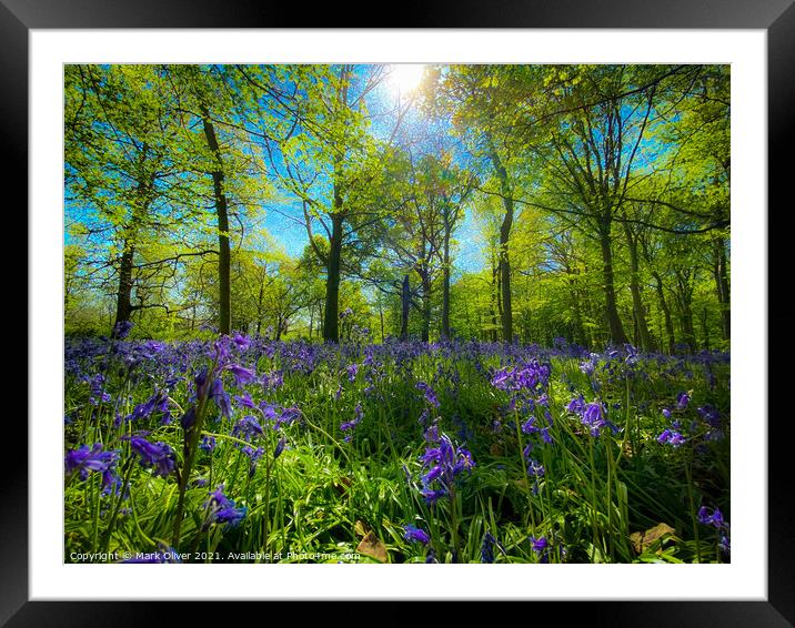 Bluebells in Wanstead Framed Mounted Print by Mark Oliver