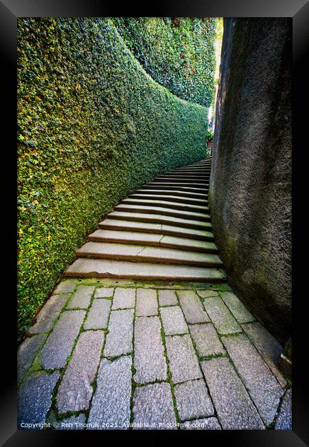 Secluded Path and Steps Framed Print by Ron Thomas