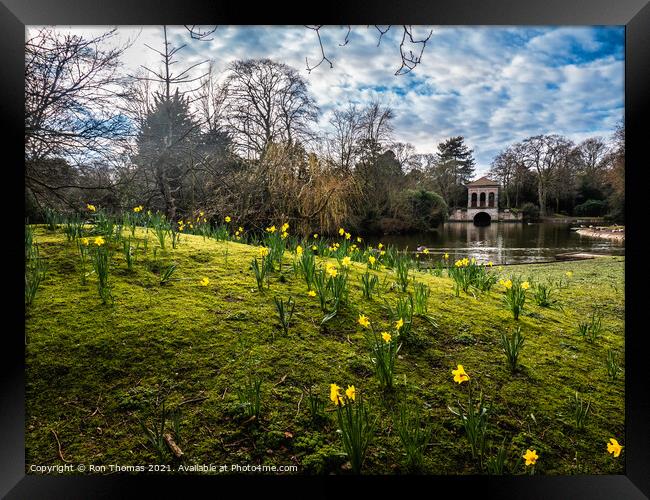 Birkenhead Park in Spring. Framed Print by Ron Thomas