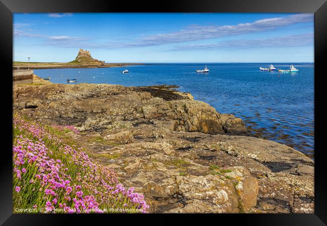 Across the harbour to Lindisfarne Castle  Framed Print by Jim Monk