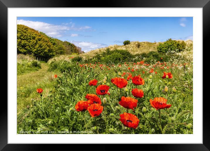 Poppies and Bamburgh Castle Framed Mounted Print by Jim Monk