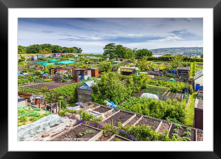 Berwick Community Allotments Framed Mounted Print by Jim Monk