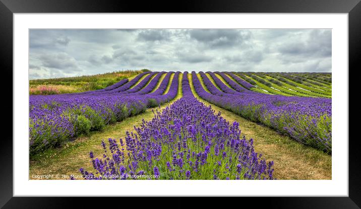 Scottish Lavender Framed Mounted Print by Jim Monk