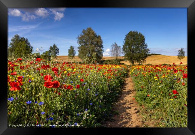 Wildflower Path Framed Print by Jim Monk