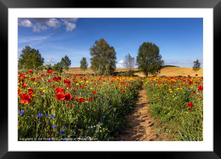 Wildflower Path Framed Mounted Print by Jim Monk