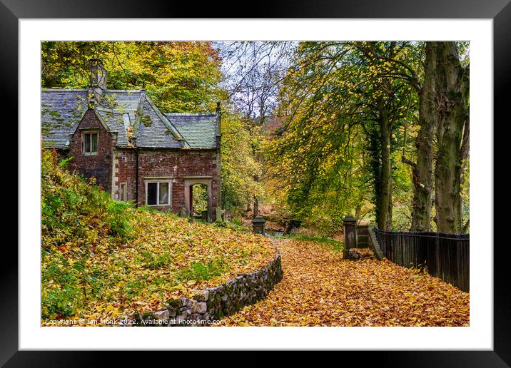 Hinkley Wood,  Peak District National Park Framed Mounted Print by Jim Monk