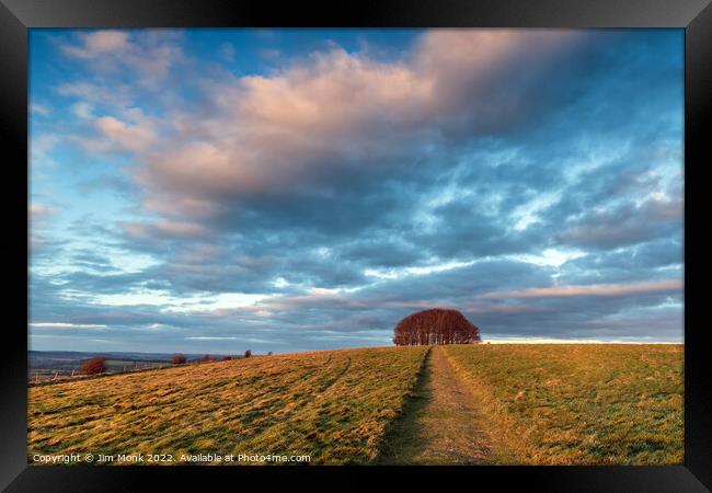 Beech Tree Copse, Dorset Framed Print by Jim Monk