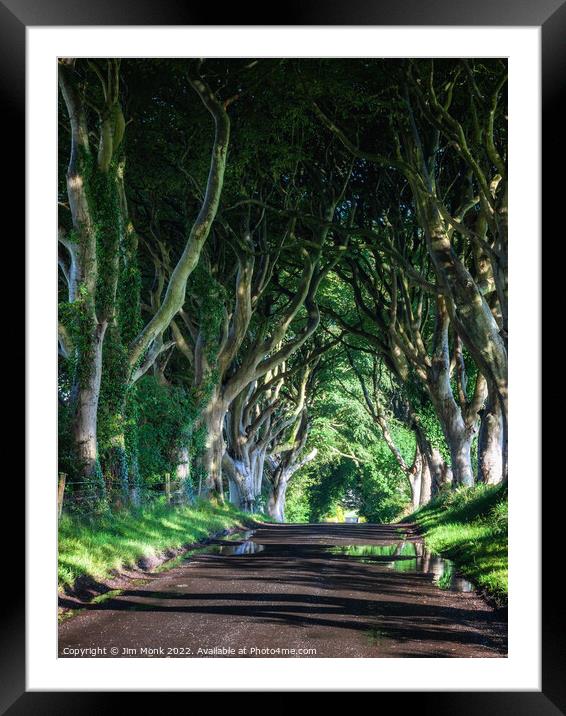 The Dark Hedges, Northern Ireland Framed Mounted Print by Jim Monk
